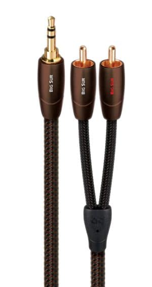 Audioquest Big Sur (3