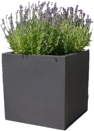 Botanic 50-2o /Stück Lautsprecher anthrazit