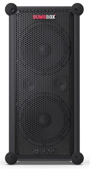 CP-LS100 PA-Lautsprecher