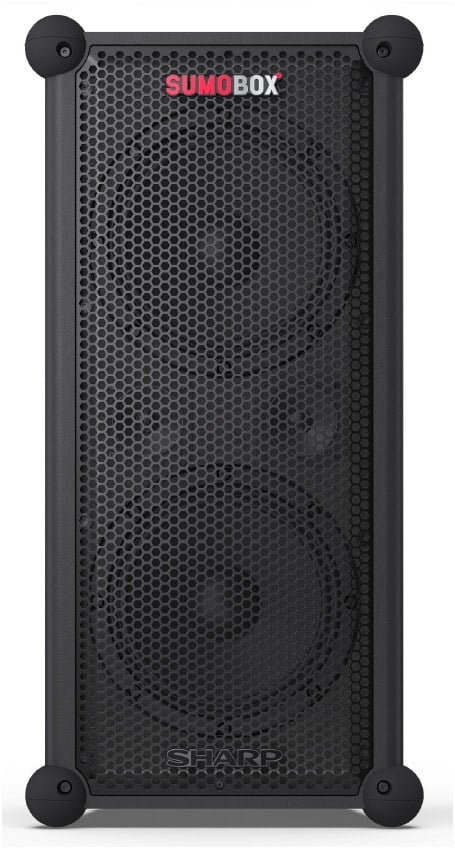 CP-LS100 PA-Lautsprecher